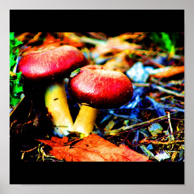 Poster-mat/dryck-18 Poster (Framsidan)