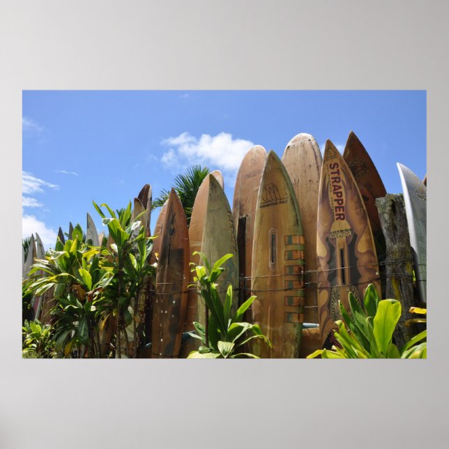 Poster Maui Surfboard-stängsel (Framsidan)