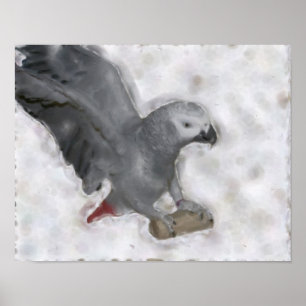 Poster med afrikansk Grått Parrot-fotomålning