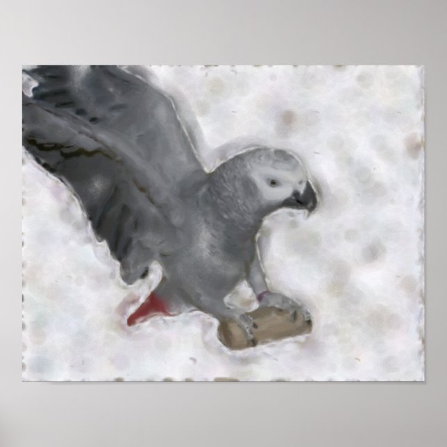 Poster med afrikansk Grått Parrot-fotomålning (Framsidan)