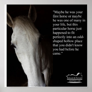 Poster med Anna Blake Quote om hästar.