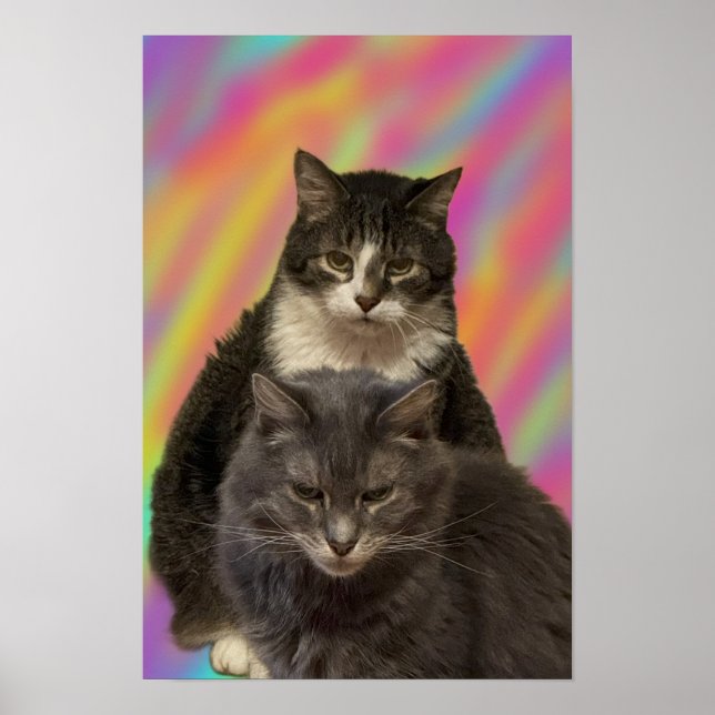 Poster med atthjälpfoto (Framsidan)