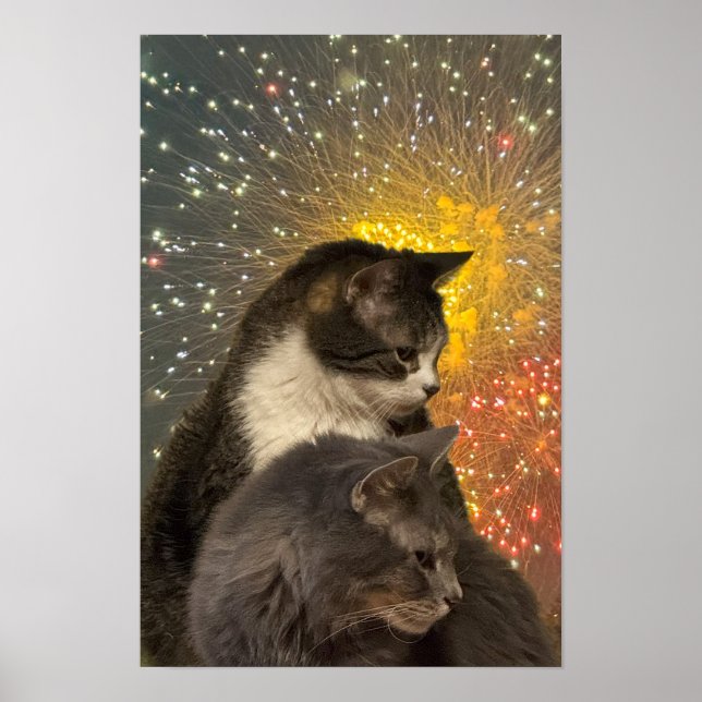 Poster med atthjälpfoto (Framsidan)
