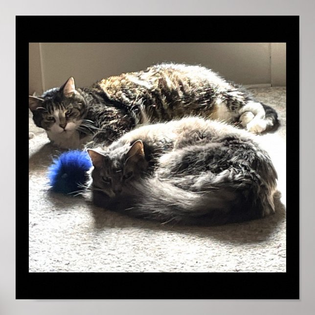 Poster med atthjälpfoto (Framsidan)