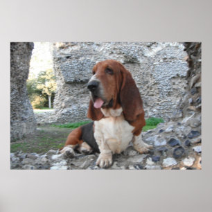Poster med besök av buntbundet Castle Ruin