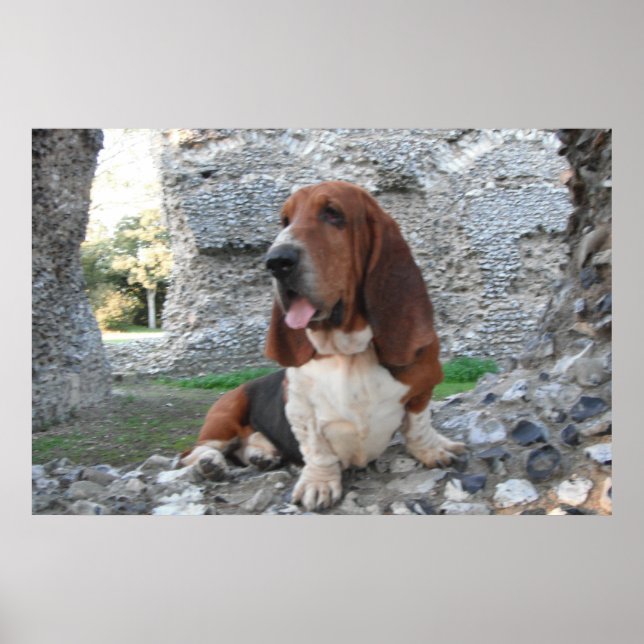 Poster med besök av buntbundet Castle Ruin (Framsidan)