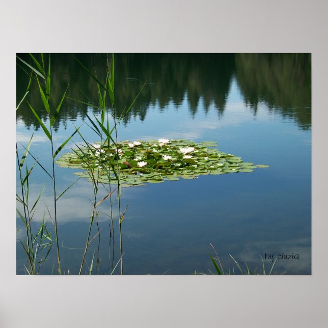 Poster med en bild av vita blommor (Framsidan)