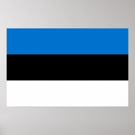 Poster med Estlands Flagga