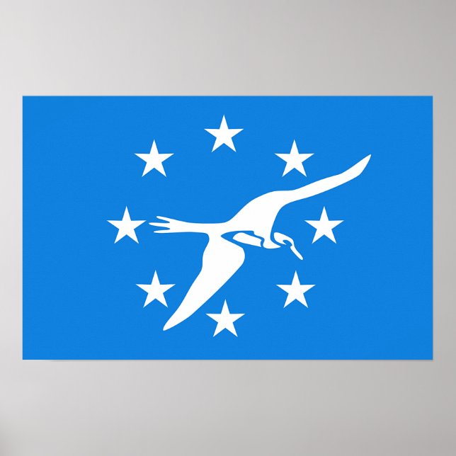 Poster med Flagga Corpus Christi, Förenta staterna (Framsidan)