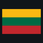 Poster med Flagga i Litauen<br><div class="desc">Visa ditt litauiska pride med detta djärva och pulserande poster som omfattar Litauens flagga! Designat för att fånga den nationella identiteten visar denna poster den ikoniska gulten, grönten och den röda trifärgen i levande detalj. Det är perfekten biet för att fira Litauens arv, oavsett om det visas i ett klassrum,...</div>