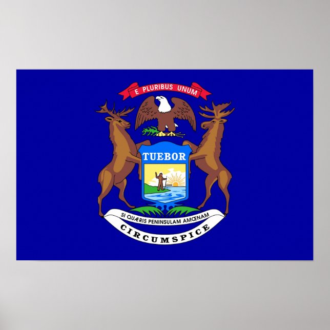 Poster med Flagga Michigan, USA. (Framsidan)