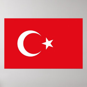 Poster med Flagga Turkiet