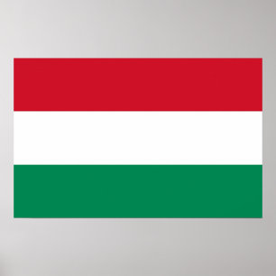 Poster med Flagga Ungern