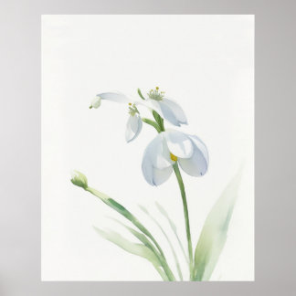 Poster med födelseblomman januari