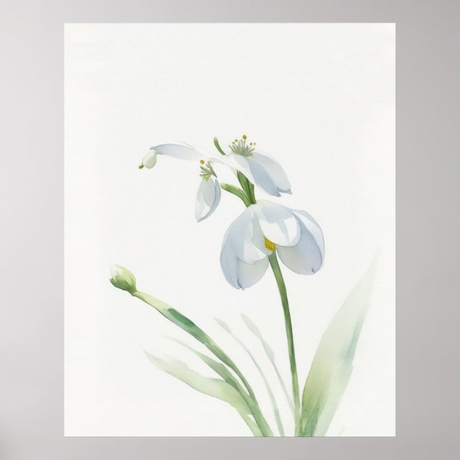 Poster med födelseblomman januari (Framsidan)
