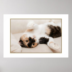 Poster med lekkatt