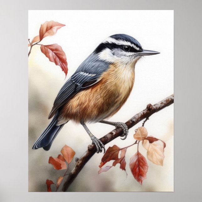 Poster med rött bröst nuthatch Bird Art-utskrift (Framsidan)