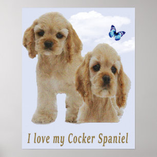 Poster med sockerspaniel-valpar