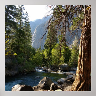 Poster med ström, skog och berg