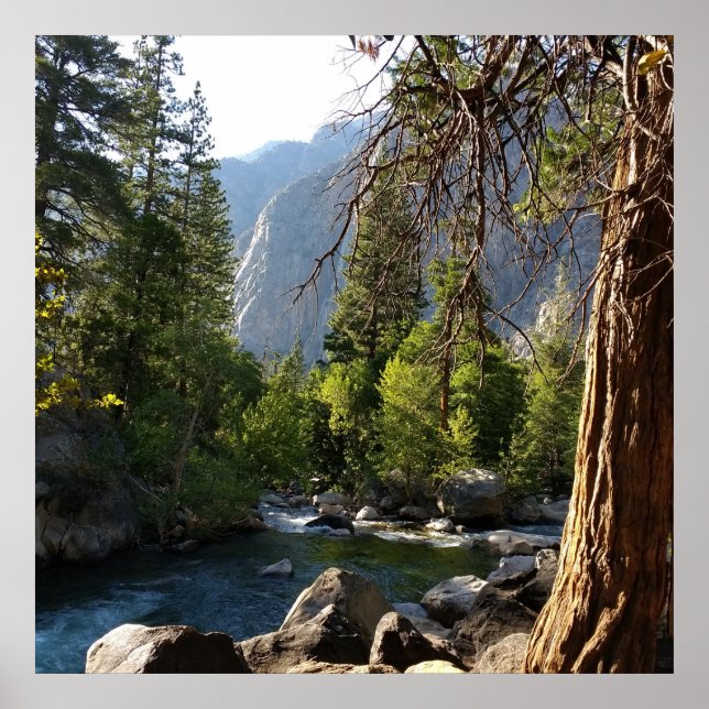 Poster med ström, skog och berg (Framsidan)