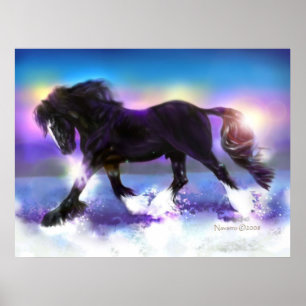 Poster med svart fot