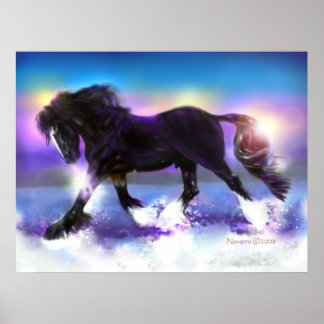 Poster med svart fot