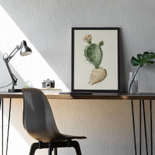 Poster med vattenfärg Antique Botanical Cactus Skr