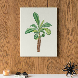 Poster med vattenfärg Antique Botanical Cactus Skr