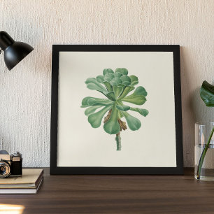 Poster med vattenfärg Antique Botanical Cactus Skr