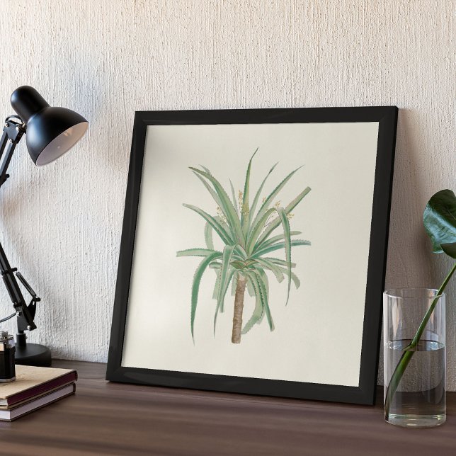 Poster med vattenfärg Antique Botanical Print (Watercolor Antique Botanical Cactus Print Poster)