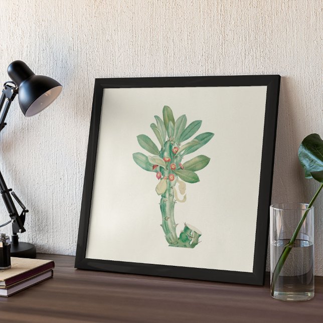 Poster med vattenfärg Antique Botanical Print (Watercolor Antique Botanical Cactus Print Poster)