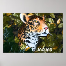 POSTER MENACING JAGUAR
