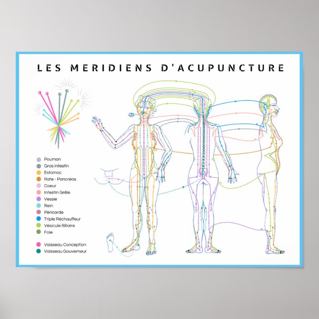 Poster Méridiens d'Acupuncture, médecine chinoise (Framsidan)