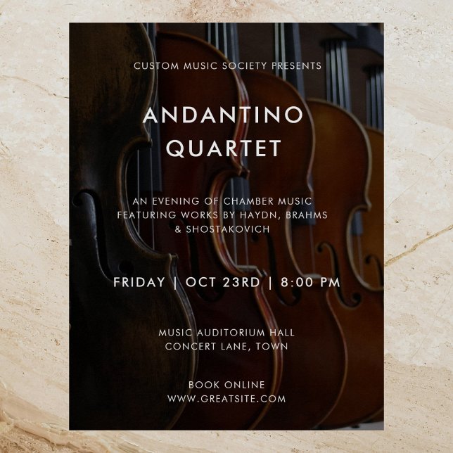 Poster modern musikkonsertfotomall (Skapare uppladdad)