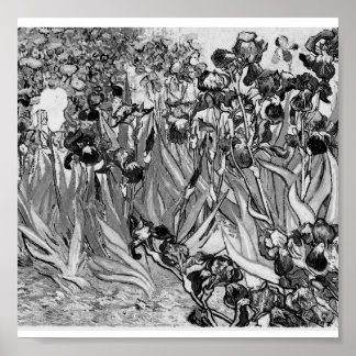 Poster-monokrom-Van Gogh-Irises Poster