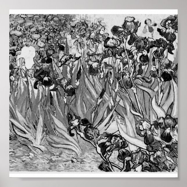 Poster-monokrom-Van Gogh-Irises Poster (Framsidan)