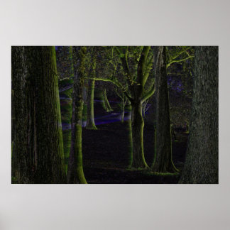 Poster mörk Forest