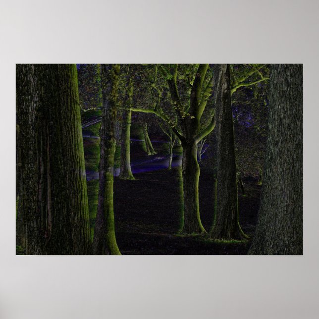 Poster mörk Forest (Framsidan)