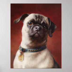 Poster musslor
