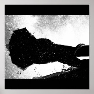 Poster-naturkonst av regn-28 poster