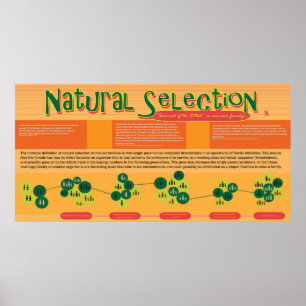Poster naturval