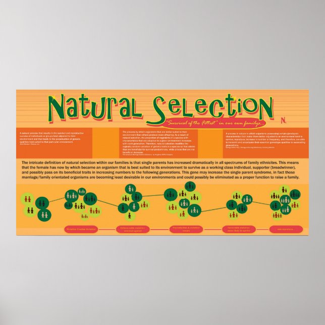 Poster naturval (Framsidan)