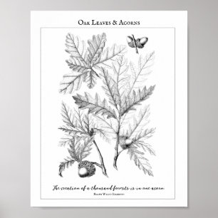 Poster Oak Löv and Acorns Anpassade Quote