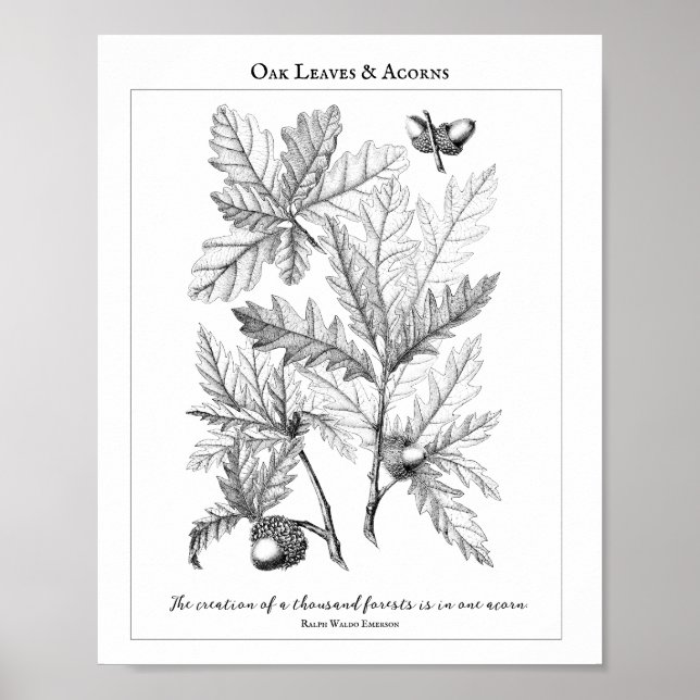 Poster Oak Löv and Acorns Anpassade Quote (Framsidan)