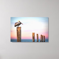 Poster och en pelikan | Fort Myers Beach, Florida