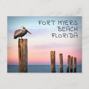 Poster och en pelikan Fort Myers Beach, Florida Vykort