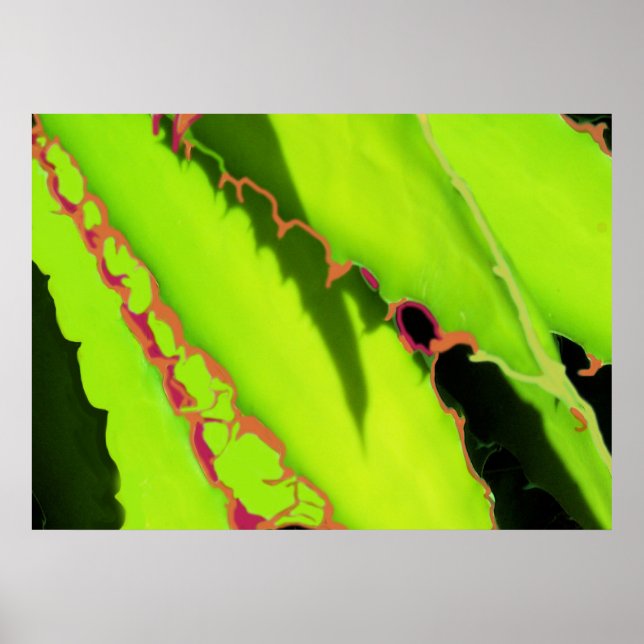 POSTER OCH SKRIV UT (Framsidan)