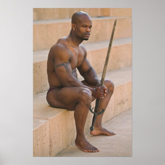 Poster, Odysser mellan slag Poster