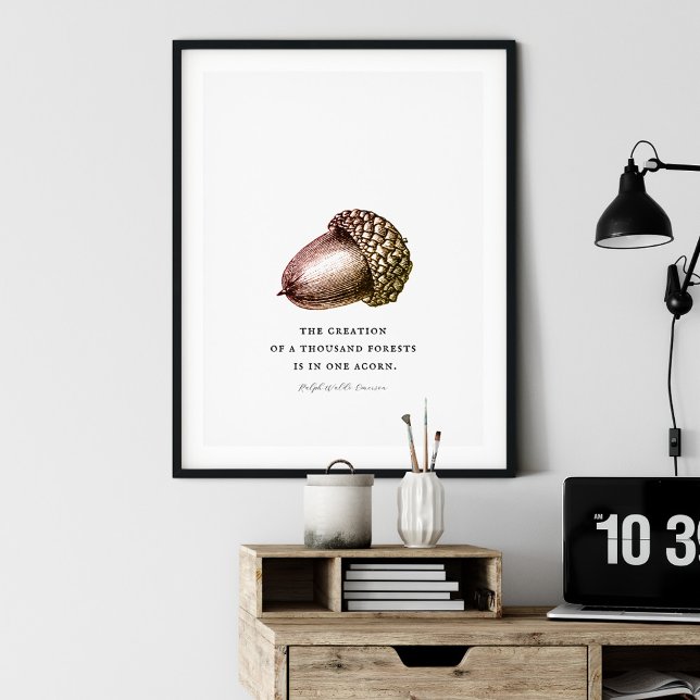 Poster offert för Anpassadet Acorn (Skapare uppladdad)