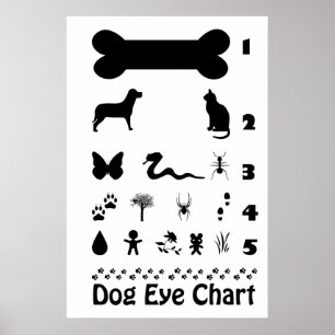 Poster Öga-diagram i hund